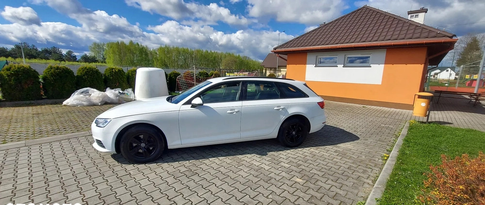 Audi A4 cena 72900 przebieg: 112000, rok produkcji 2017 z Malbork małe 277